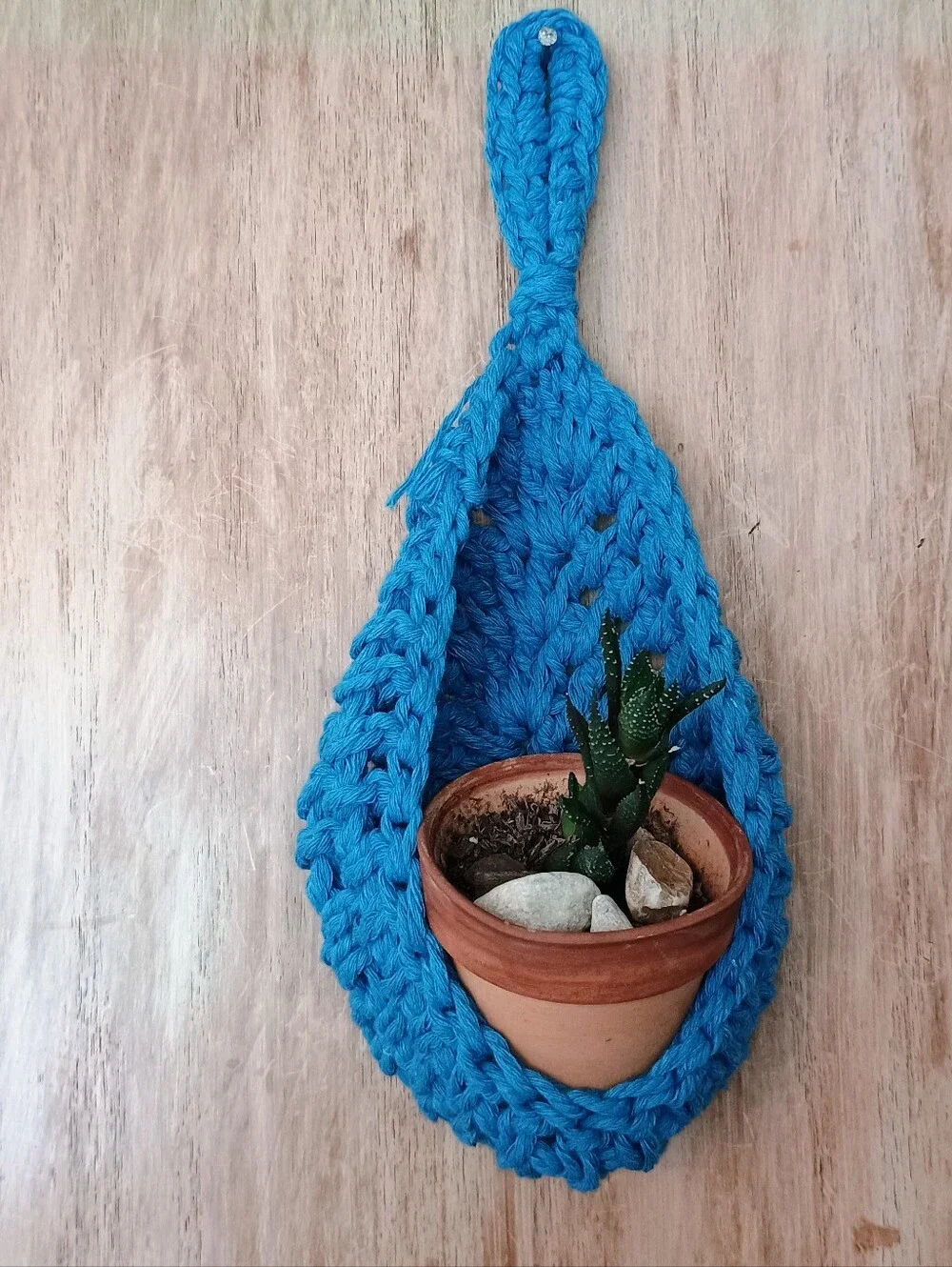 Handmade air plant